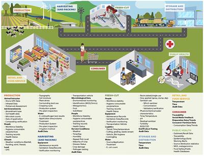 Big Data Impacting Dynamic Food Safety Risk Management in the Food Chain